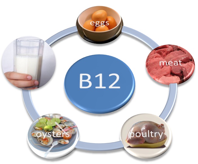 vitamineB12