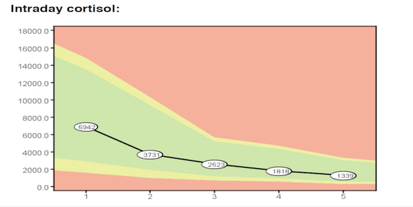 cortisol dagcurve