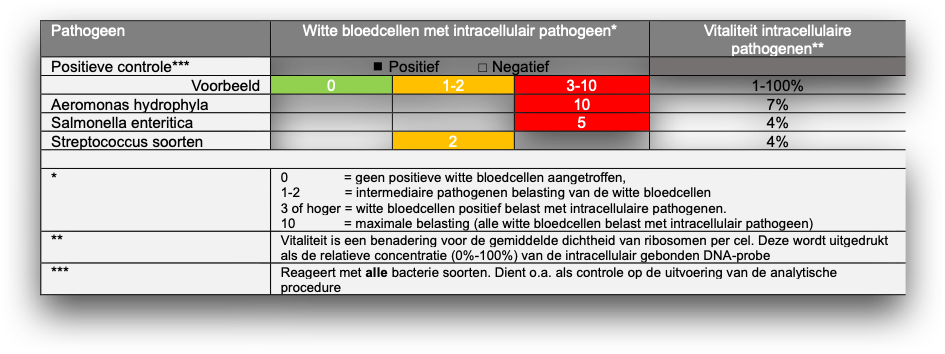 voorbeeld uitslag bepaling van intracellulaire infecties