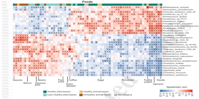 You are currently viewing Gut microbes and obesity