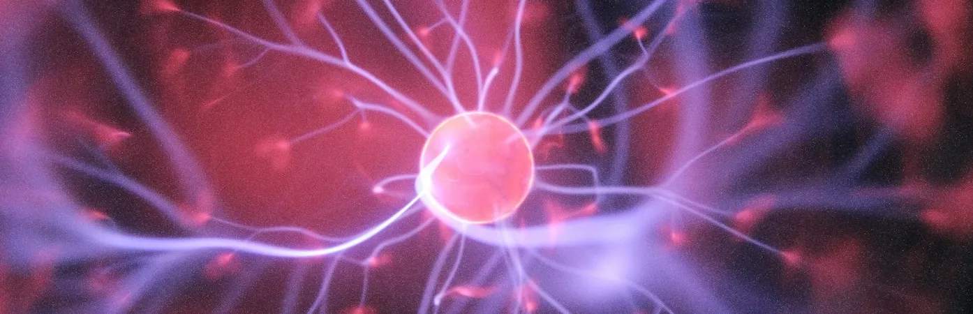 brain