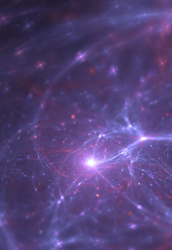 neurons