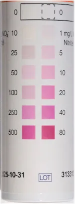 Nitrate-nitrite-saliva test